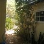 40 Irwin Street