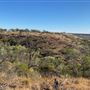 Geraldton