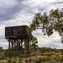 Arrow Lake - Kanowna - Goldfields