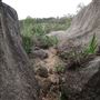 John Forrest National Park