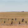 Wheatbelt Region