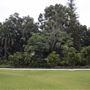 Supreme Court Gardens