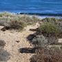 Kalbarri - Back Beach