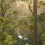 Pemberton - Warren National Park