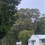 Pemberton