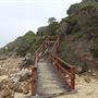 Gracetown