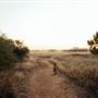 Wooramel River Retreat