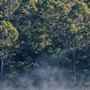RAC Karri Valley Resort