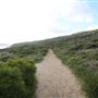 Yallingup - Rabbit Hill