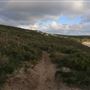 Yallingup - Rabbit Hill