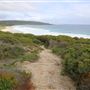 Yallingup - Torpedo Rock