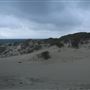 Sandy Cape