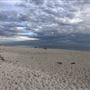Claytons Beach
