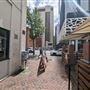 Shafto Lane