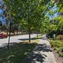 East Perth- Streets