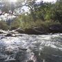 Collie River, Collie