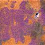 Wheatbelt Region