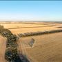 Wheatbelt Region