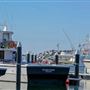 Augusta - Boat Harbour