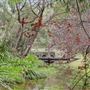 Margaret River