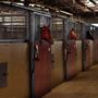 Gold Front Breeding & Racing