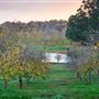 Nannup
