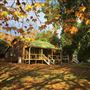 Lewana Cottages