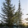 Scarborough Beach and Promenade