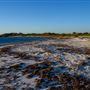 Milligan Island Eco Camping