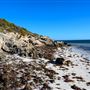 Milligan Island Eco Camping