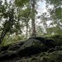 Porongorup National Park