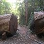 Porongorup National Park