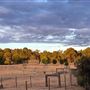 Murray Farm