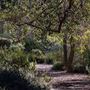 Kings Park