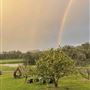 Duke's Vineyard