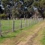 Alwyn Park Stud