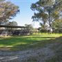 Alwyn Park Stud