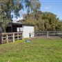Alwyn Park Stud