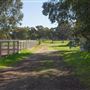 Alwyn Park Stud