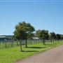 Gold Front Breeding & Racing