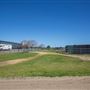 Gold Front Breeding & Racing