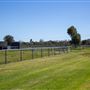 Gold Front Breeding & Racing