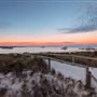 Rottnest -  Samphire Rottnest