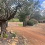 1418 Katrine Rd