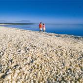 Shell Beach - Denham