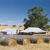 Wheatbelt Region