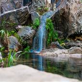 El Questro - Zebedee Springs