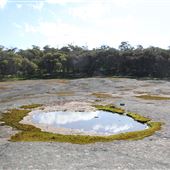 Hillman Reserve