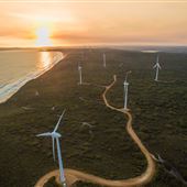 Albany Wind Farm