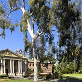 Stirling Gardens